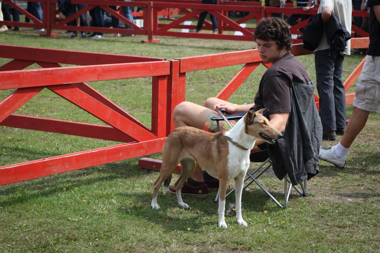 what is the national dog of poland